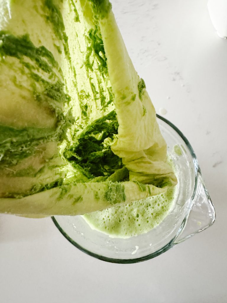 pulp from making a green juice